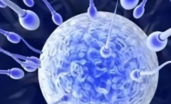 贵州省三代试管助孕一般花多少钱？2026年费用完整呈现