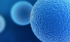 2026年玉林市一医院试管单身费用明细表最新出炉