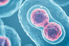 广东省三代试管婴儿哪个私立医院成功率比较高？