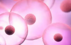 2026山东三代试管婴儿费用清单，各项收费明细全透明