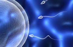 天津医科大学总医院单身人士试管婴儿成功几率大吗？