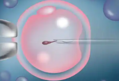 福建省福州2026年三代试管婴儿费用明细：从检查到移植全流程花费清单