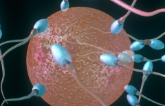 山东省地区第三代试管婴儿助孕费用大概多少钱