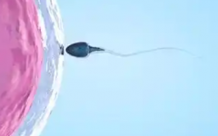 辽宁三代试管助孕费用明细：2026年10万元起步，价格公开透明