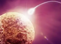 2026年未婚人士可以在怀化妇幼做试管婴儿吗？