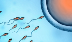 2026年江苏三代试管助孕费用大概需要多少？具体费用构成有哪些