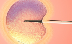 2026年去山西省做三代试管助孕大概要花多少钱？各项收费明细全览