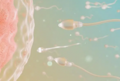 2026年上海三代试管婴儿助孕费用多少钱，试管预算约15万元