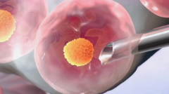 广东省深圳市三代试管婴儿大概花多少钱？这三家助孕机构价格合理且