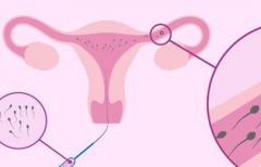 2026年无结婚证在四川私立西囡医院做三代试管的费用高吗？费用详细介