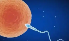 2026沈阳市三代试管助孕费用全解析，所有开支一次看明白