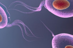 安徽省合肥市三代试管婴儿费用清单，2026年价格表及收费项目说明