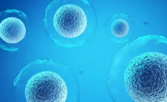 2026年单身做试管婴儿新乡市中心医院接受吗？流程一览！