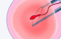 南宁第三代试管婴儿费用大约多少，2026年助孕全流程费用清单一览