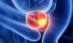 2026安徽合肥做三代试管婴儿要花多少钱，实际花费比想象中划算