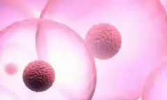 2026年长春做三代试管婴儿多少钱？最新收费标准出炉