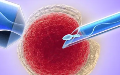 合肥第三代试管婴儿大概多少钱？附上具体收费和流程说明