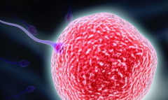 云南省昆明市做第三代试管婴儿费用明细，这份预算清单你清楚吗