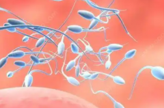 江苏省医院做三代试管婴儿具体花费多少钱一文看懂