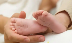 2026年辽宁省计划生育研究院单身试管婴儿花费明细表参考！