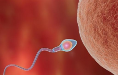 黄冈三代试管婴儿助孕真实花费 黄冈第三代试管全流程价格曝光