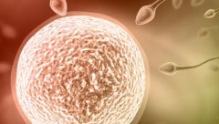 河南信阳不同代数试管婴儿全包下来费用大约需要多少