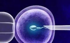 没有结婚证能不能在襄阳做试管？襄阳中心医院官方答复与操作步骤