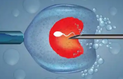 2026年没有结婚证去商丘市第一人民医院做试管可以吗？试管流程及费用