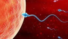 联勤保障部队第988医院没有结婚证的女性试管婴儿多少钱？和其他医院