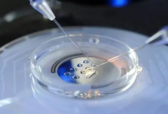 广东省单身女性在中山大学孙逸仙纪念医院深汕中心医院做试管婴儿成