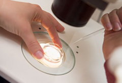 单身群体能不能在广安人民医院做试管？2026费用及成功率详解