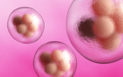 2026江苏私立医院试管婴儿指南，排名前十详细介绍