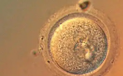 国内三代试管婴儿价格明细，真实花费一览，避雷要点全整理