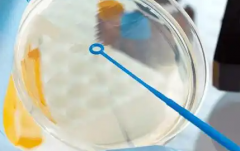 浙江杭州市试管婴儿助孕单次费用大概是多少？详细费用明细发布