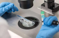 没有结婚证能不能在江苏省做试管？东南大学附属中大医院官方答复与