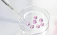 2026南京第三代试管助孕最新费用公布，参考这份价格表