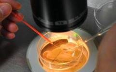 吉尔吉斯斯坦三代试管婴儿费用明细表，价格构成及总花费