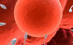 2026年单身女性去潮州中心医院做试管生孩子贵吗？完整费用可参考