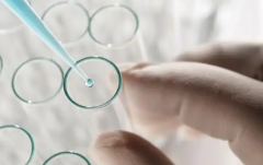 2026年银川市妇幼保健院单身试管婴儿费用价目表一览