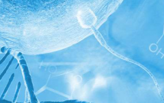 南京市三代试管助孕大概多少钱？一般人在12万元上下(费用明细一览)