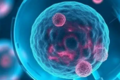 2026年去江西南昌市找助孕机构多少钱？详细费用明细发布