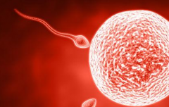 助孕价目指南：2026年河北石家庄助孕生子费用明细与流程时间安排