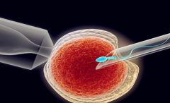 陕西省西安市三代试管助孕费用清单与整体费用预览