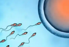 2026年梧州市工人医院单身试管费用明细，预算8万元够不够？