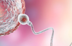 2026年哈萨克斯坦第三代试管婴儿助孕大约需要多少费用？详细费用清单