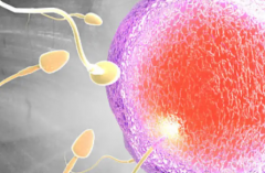 去陕西省做试管婴儿大概要花多少钱？费用明细全面介绍