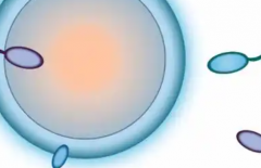 2026年在美国私人医院做助孕生小孩大概花费多少钱