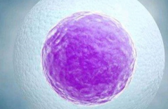 2026年在安徽合肥市试管助孕生育孩子的费用详细清单，8万元预算或许根