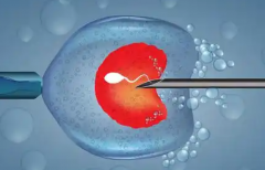 单身女性可以在福州市妇幼保健院做三代试管婴儿吗？成功率高不高？