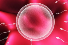 天津市三代试管婴儿一般费用多少？附试管婴儿最新收费情况